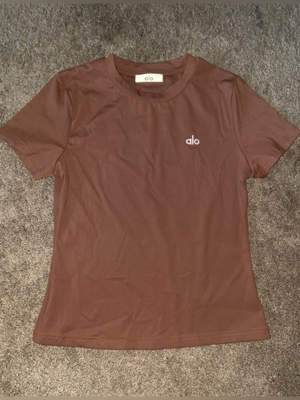 ALO Yoga Short Sleeve Logo Tee in Brown